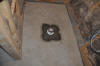 DSC_3205.JPG (6449758 bytes)