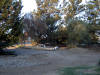 IMAG0155.JPG (601982 bytes)